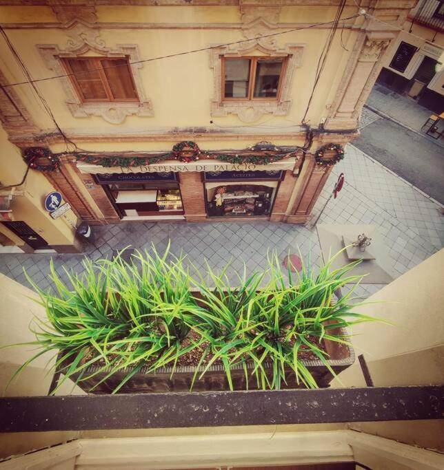 Estudio Centro De Sevilla Exteriér fotografie